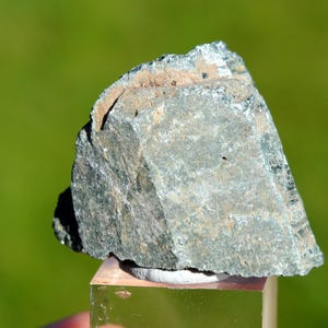 May include: A rough, gray-green rock with a slightly textured surface. The rock is sitting on a clear glass display stand.