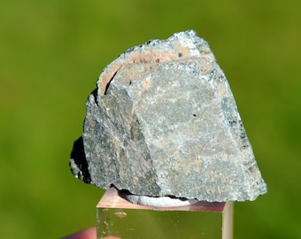 May include: A rough, gray-green rock with a slightly textured surface. The rock is sitting on a clear glass display stand.