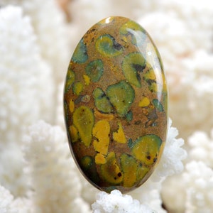 Jaspe " Bambou " 61 carats - cabochon pierre naturelle - Indonésie / EF18