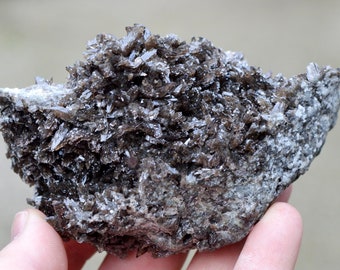 Axinite-(Fe) 392 grams - Dal'negorsk B deposit, Dalnegorsk, Dalnegorsk Urban District, Primorsky Krai, Russia