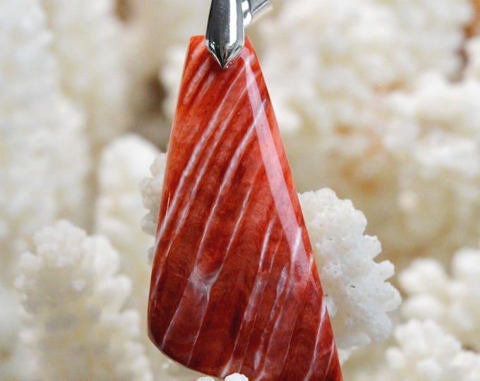 Spiny Oyster - Spondylus - 36 carats - natural shell cabochon pendant - Mexico / FR35