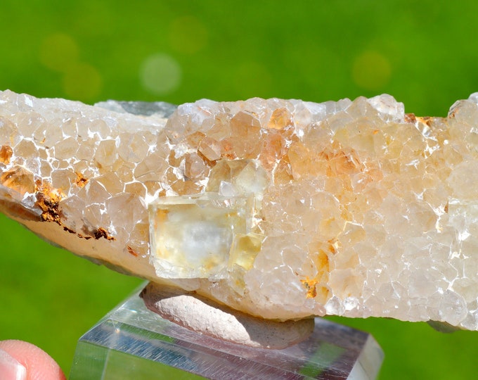 Fluorite & Quartz 90 grams - La Barre Mine, Saint-Jacques-d'Ambur, Puy-de-Dôme, Auvergne-Rhône-Alpes, France