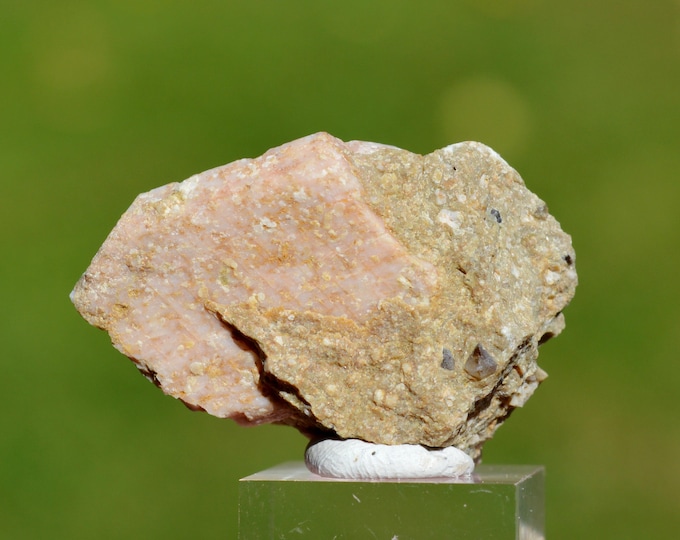 Orthoclase 15 grams - Four-la-Brouque ravine, Saint-Babel, Issoire, Puy-de-Dôme, Auvergne-Rhône-Alpes, France