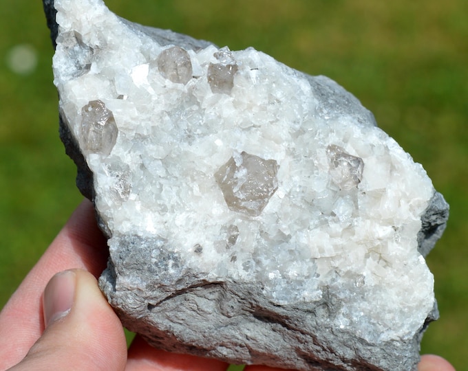 Smoky Quartz on Calcite 410 grams - Lompret quarry, Lompret, Chimay, Hainaut, Wallonia, Belgium