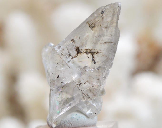 Gypsum 5 grams - Templeuve Quarry, Templeuve-en-Pévèle, Lille, North, Hauts-de-France, France