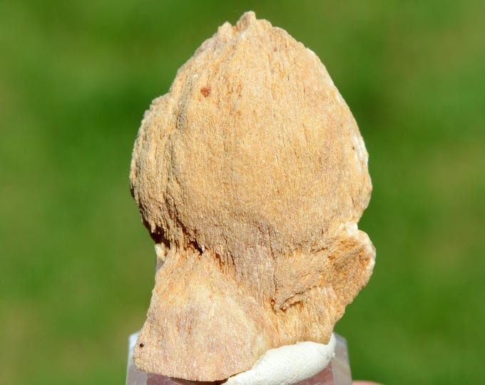 Baryte 53 grams - Tremouleine, Dauzat-sur-Vodable, Issoire, Puy-de-Dôme, Auvergne-Rhône-Alpes, France