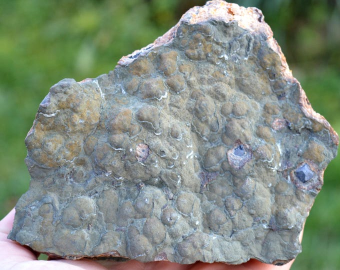 Baryte & Galena 1465 grams - Chaillac, Le Blanc, Indre, Centre-Val de Loire, France