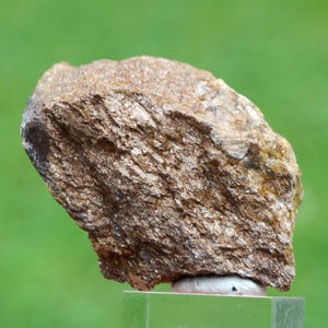 Könnte beinhalten: Ein unregelmäßig geformter Felsen mit geschichteter Textur. Der Felsen weist eine Mischung aus Braun- und Grautönen auf, mit einer leicht reflektierenden Oberfläche. Der Hintergrund ist ein verschwommenes Grün, das einen Kontrast zu den Erdtönen des Felsens bildet.