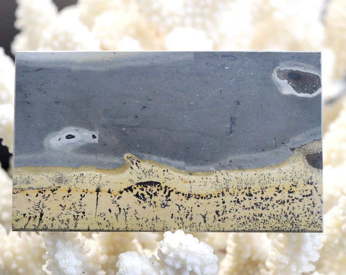 Polished Slice - Landscape Stone 92 mm - Guilin, Guangxi, China