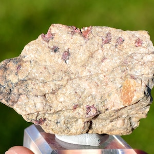 May include: A rough, light brown rock with small, dark red crystals embedded throughout. The rock is sitting on a clear display stand.