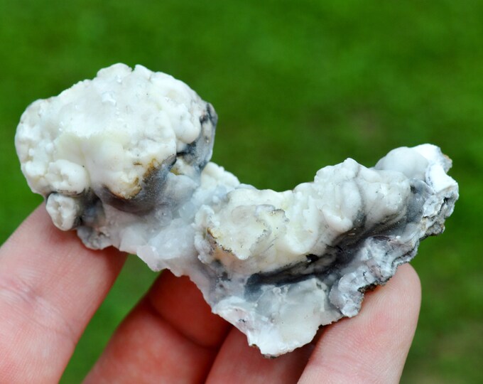 Aragonite "Flos Ferri" 79 grams - Green Fir Mine, Altenberg, Ste Marie-aux-Mines, Colmar-Ribeauvillé, Haut-Rhin, Alsace, France