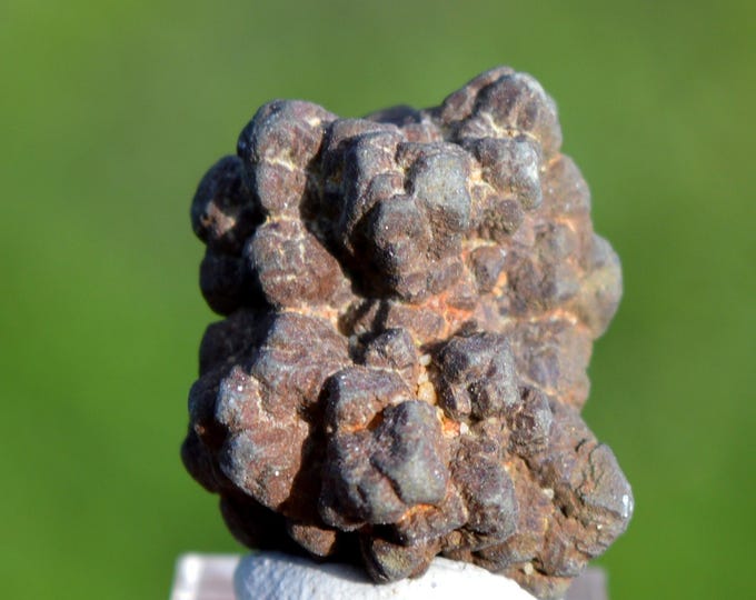 Marcasite and/or Pyrite 16 grams - Cap Blanc-Nez, Escalles, Calais, Pas-de-Calais, Hauts-de-France, France