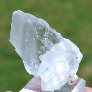 Gypsum 77 grams - Naica, Saucillo Municipality, Chihuahua, Mexico