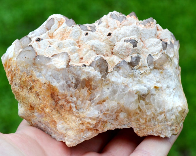 Smoky Quartz & Variscite 1057 grams - Beauvoir quarry, Échassières, Vichy, Allier, Auvergne-Rhône-Alpes, France