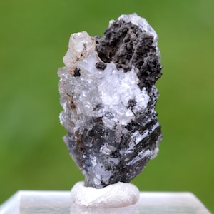 Peut inclure: Spécimen minéral avec un mélange de structures cristallines claires, blanches et noires. Le minéral est monté sur une base rectangulaire transparente avec un support blanc et arrondi, sur un fond vert flou. Formation naturelle.