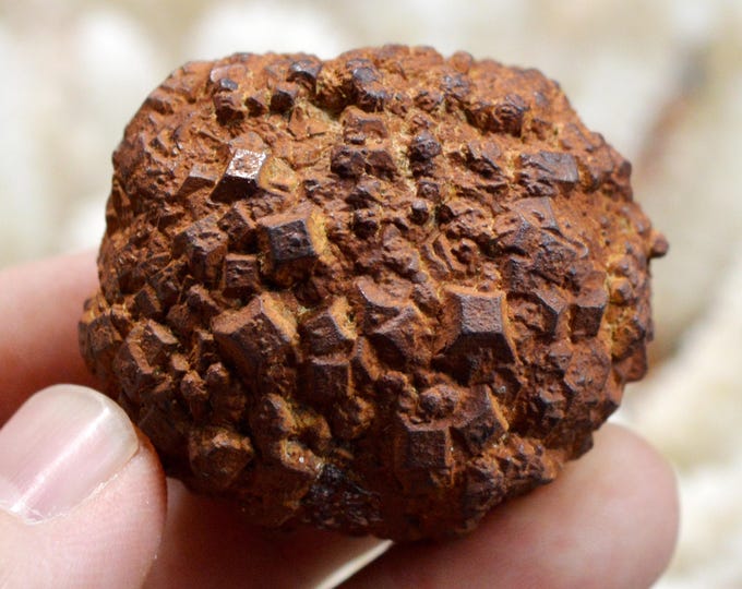 Pyrite 153 grams - Cap Blanc-Nez, Escalles, Calais, Pas-de-Calais, Hauts-de-France, France