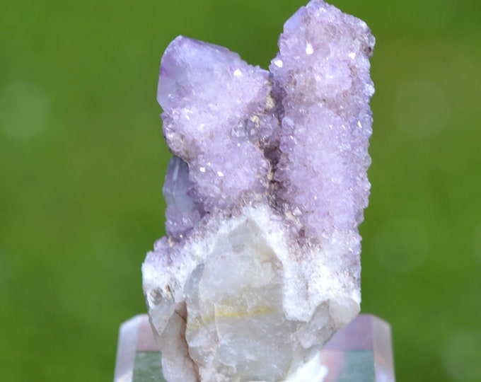 Amethyst cactus 45 grams - Boekenhoutshoek area, Mkobola, Nkangala District, Mpumalanga, South Africa