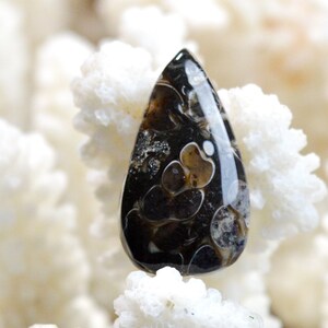 Agate turitelles 16 carats -  cabochon pierre naturelle - USA / EF9