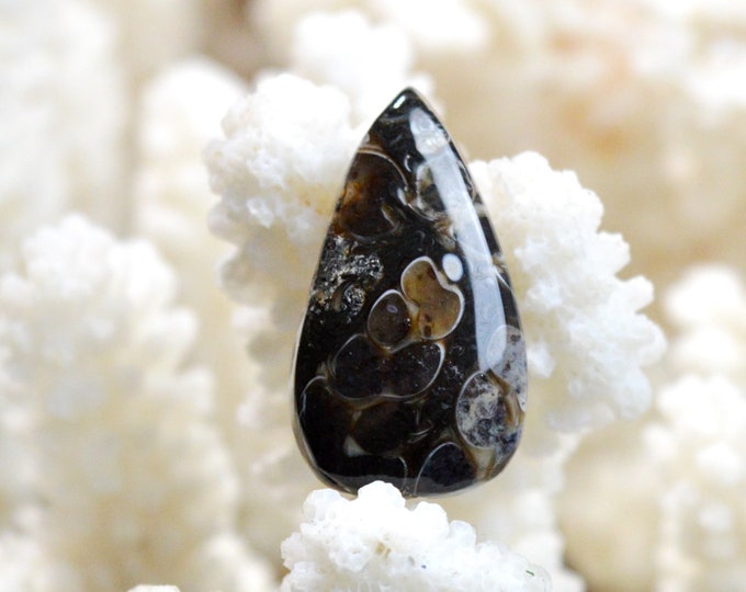 Turitella agate 16 carats - natural stone cabochon pendant - USA / EF9