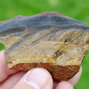 Puede incluir: Primer plano de una piedra de ojo de tigre en bruto y tallada toscamente. La piedra tiene un color marrón dorado distintivo con bandas marrón oscuro y un efecto brillante e iridiscente.