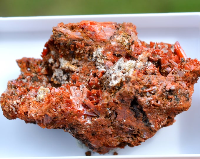 Crocoite 59 grams - Dundas mineral field, Zeehan District, West Coast municipality, Tasmania, Australia