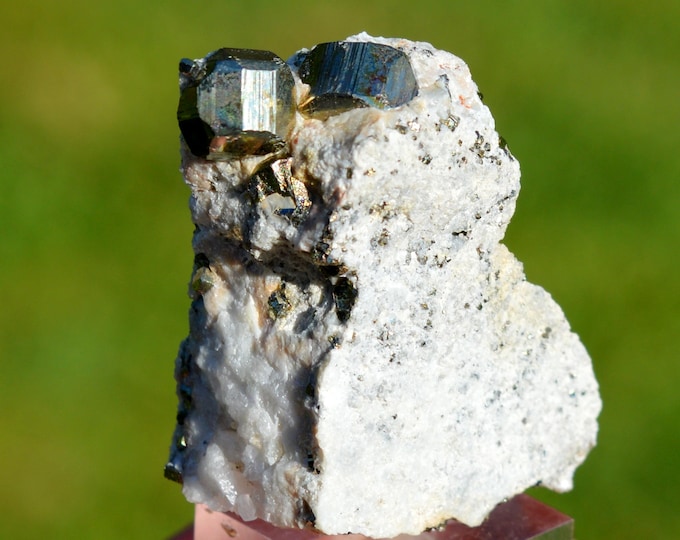 Pyrite 31 grams - Aigue Bonne quarry, Saint-Raphaël, Draguignan, Var, Provence-Alpes-Côte d'Azur, France