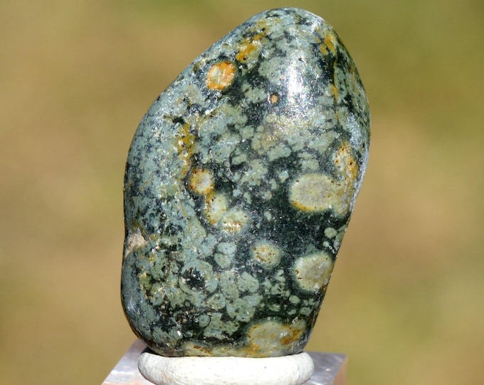 Variolite 14 grams - Chenaillet ophiolite massif, Hautes Alpes, France