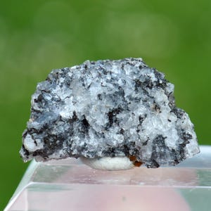 Peut inclure: Spécimen minéral avec un mélange de structures cristallines grises, noires et blanches. La roche repose sur un support rectangulaire transparent sur un fond vert flou. La surface du minéral a un aspect rugueux et texturé.