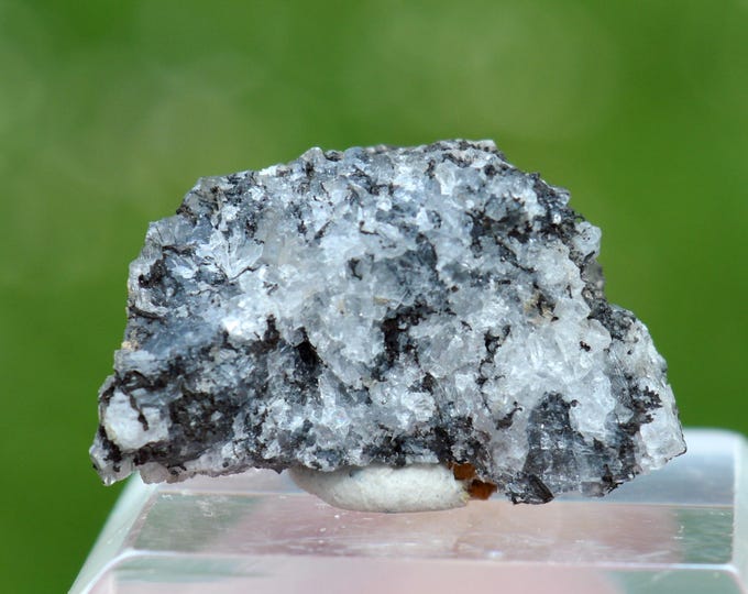 Cesarolite 4.3 grams - Sidi Amor ben Salem Mine, Slata Pb-Zn deposit, Tajerouine, Kef, Tunisia