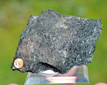 May include: A dark gray rock with a rough texture. The rock has a small, round, gold tag with the number "41" on it.