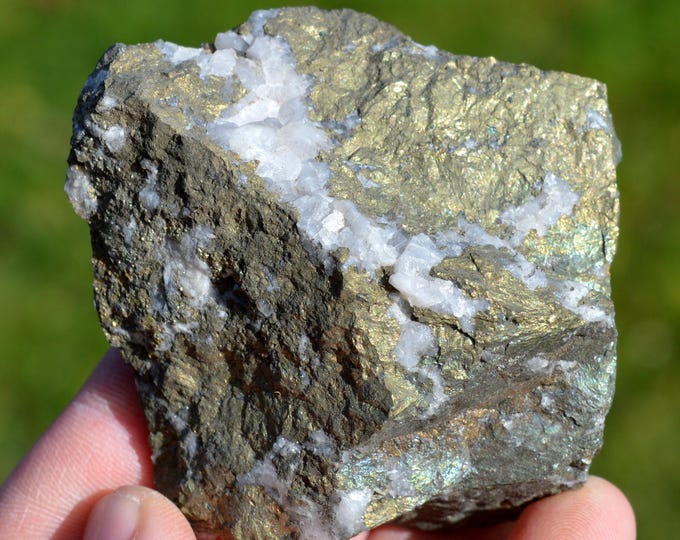 Chalcopyrite & Quartz 280 grams - Le Burg Mine, Paulinet, Albi, Tarn, Occitanie, France