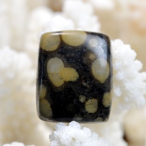 Scapolite in mica - 35 carati - cabochon in pietra naturale - India // BS31