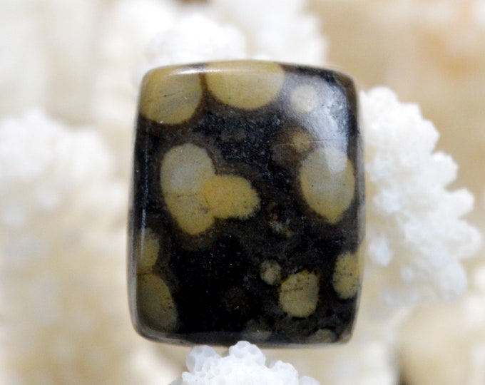 Scapolite in mica - 35 carats - natural stone cabochon - India // BS31