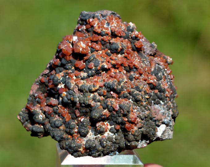 Vanadinite & Goethite 146 grams - ACF Mine, Mibladen, Aït Oufella Caïdat, Midelt Cercle, Midelt Province, Drâa-Tafilalet Region, Morocco