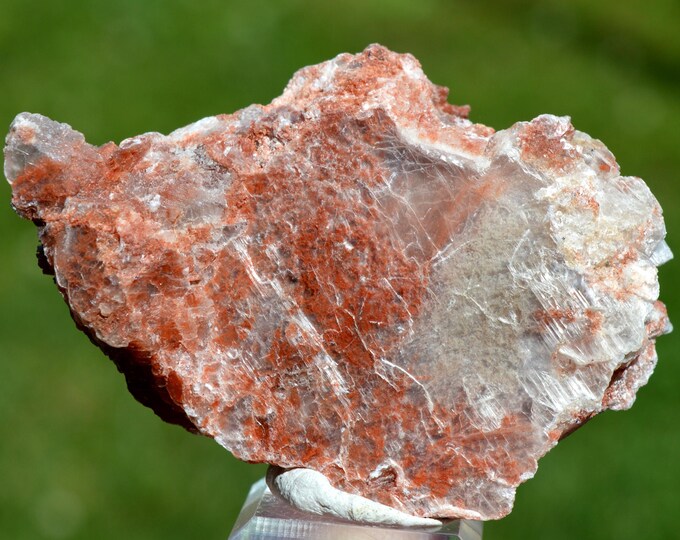 Gypsum 100 grams - Brenon, Draguignan, Var, Provence-Alpes-Côte d'Azur, France