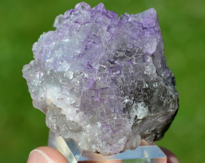 Fluorite 107 grams - Melchor Múzquiz, Múzquiz Municipality, Coahuila, Mexico