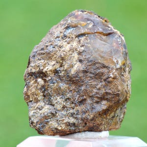Peut inclure: Une roche brute de forme irrégulière, avec un mélange de tons bruns, beiges et gris. La surface présente un aspect texturé avec des zones translucides, suggérant un possible spécimen de gemme ou de minéral. L'arrière-plan est vert flou.