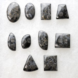 Lote de 10 cabujones de coral fósil - 153 quilates - cabujón de piedra natural // BT23