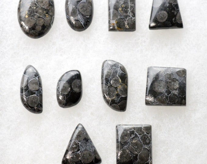 Lot of 10 fossil coral cabochons - 153 carats - natural stone cabochon // BT23