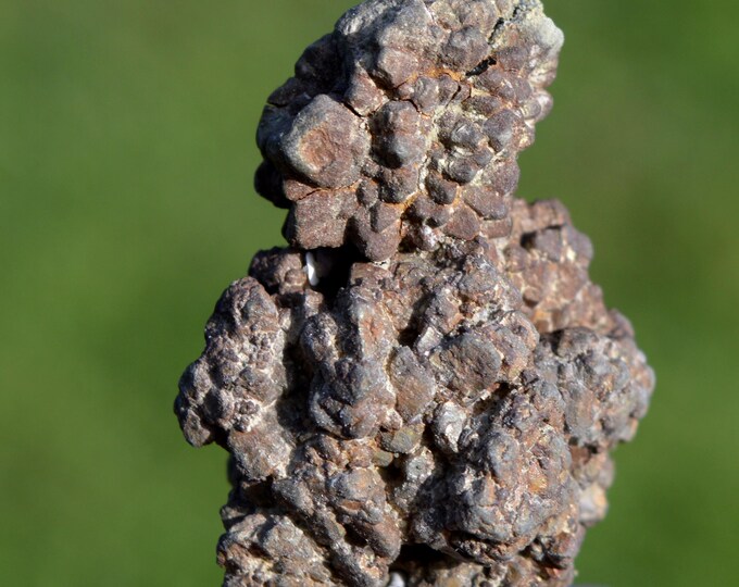 Marcasite and/or Pyrite 47 grams - Cap Blanc-Nez, Escalles, Calais, Pas-de-Calais, Hauts-de-France, France