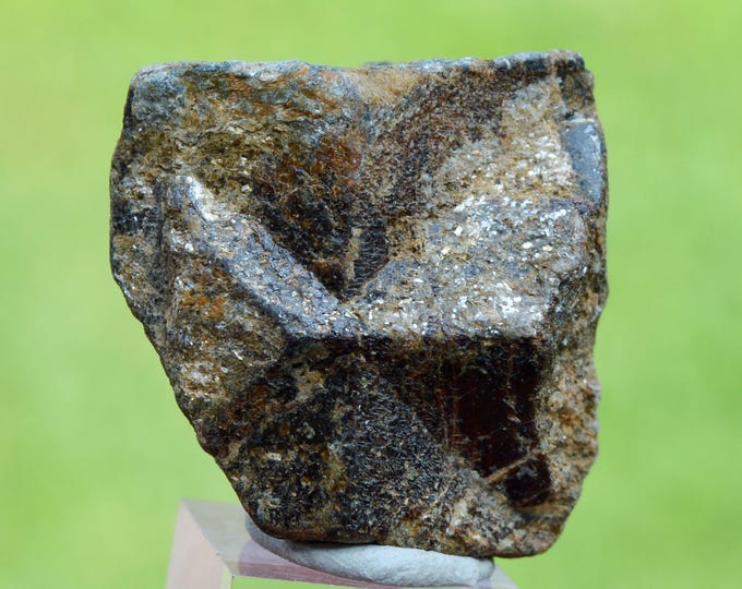 Staurolite 34 grams - Coray, Châteaulin, Finistère, Brittany, France