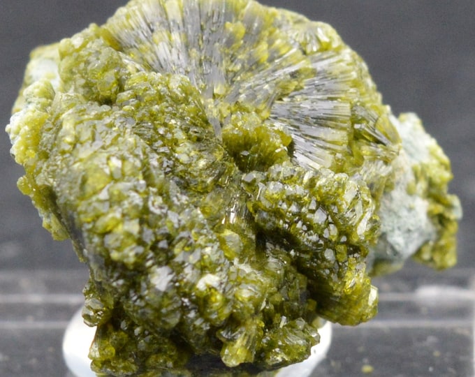 Epidote on Quartz 20.3 gr - EPIDOT on QUARTZ lustrous crystals cluster - Morocco