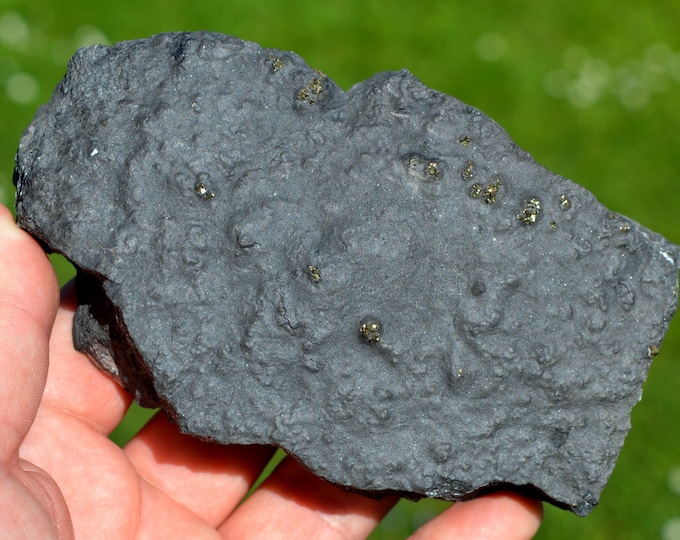 Pyrite 624 grams - Lompret quarry, Lompret, Chimay, Hainaut, Wallonia, Belgium
