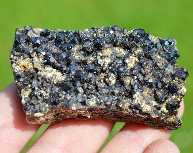 Garnet var. Andradite & Magnetite 117 grams - Feilluns, Prades, Pyrénées-Orientales, Occitanie, France