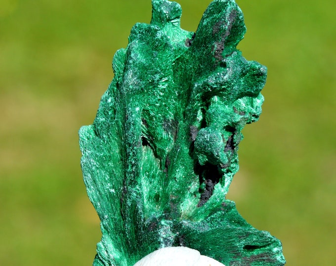Malachite 28 grams - L'Etoile du Congo Mine, Lubumbashi, Haut-Katanga, DR Congo