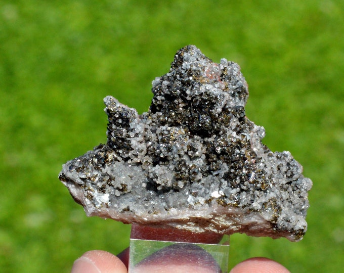 Descloizite 49 grams - Berg Aukas Mine, Grootfontein Constituency, Otjozondjupa Region, Namibia