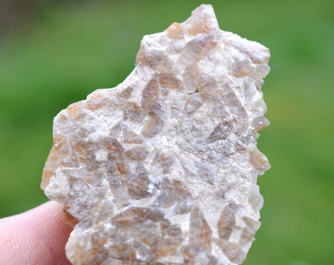 Gypsum "Honeycomb" 68 grams - Gargas, Apt, Vaucluse, Provence-Alpes-Côte d'Azur, France