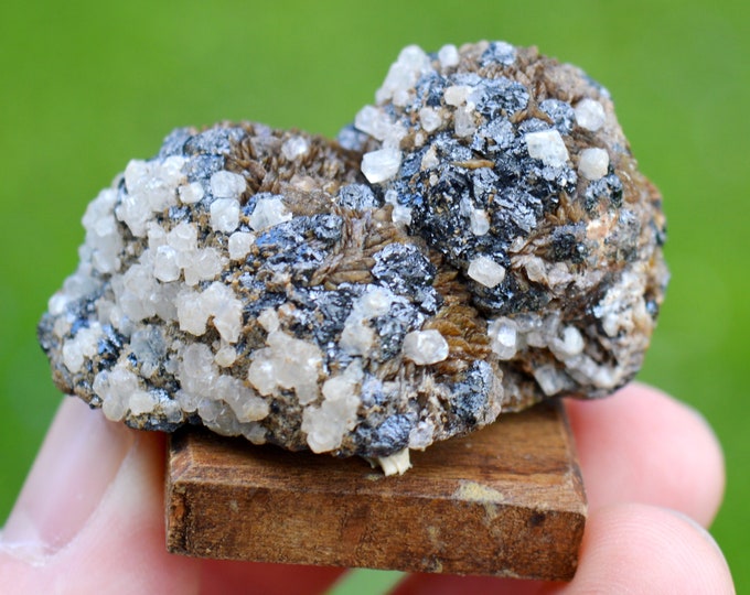 Sphalerite & calcite on Siderite 71 grams - Peyrebrune, Montredon-Labessonnié, Castres, Tarn, Occitanie, France