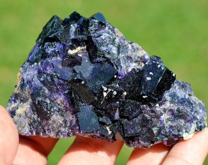 Fluorite 289 grams - Melchor Múzquiz, Múzquiz Municipality, Coahuila, Mexico