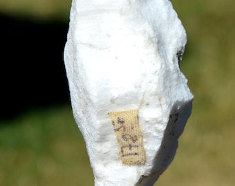 Gypsum 50 grams - Zaragoza, Aragon, Spain